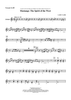 Mustangs - The Spirit of the West - Bb Trumpet 2