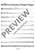 Consort - Tenor Recorder/viola