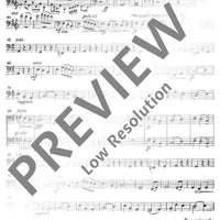 Viva la musica - Double Bass