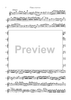 Double Concerto for Recorder and Flute in E minor - Flauto Traverso (Flute)