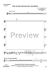 The Star-Spangled Banner - Contrabass Clarinet
