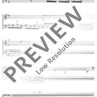 Concento di corde - Performing Score