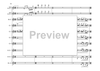 Bass Clarinet Double Concerto - Score