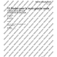 12 Etudes for the Left Hand