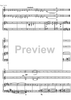 Ciaccona concertante - Score