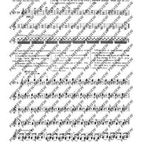 100 Technical Paraphrases on Kreutzer-Etudes