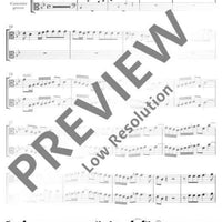 Concerto Grosso - Viola