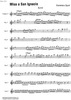 Misa a San Ignacio - Violin 1