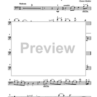 Suzuki Bass School, Volume 3 - Bass Part