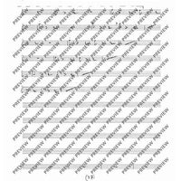 Collected Studies for Player Piano