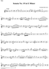 Sonata No. 19 in E Minor - Flute