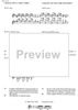 Cadenza Concerto RV208 Grosso Mogul 1st and 3rd movement - Notes