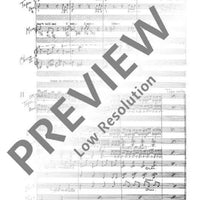 Revelation in the Courthouse Park - Full Score