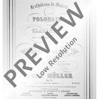 Le château de Madrid