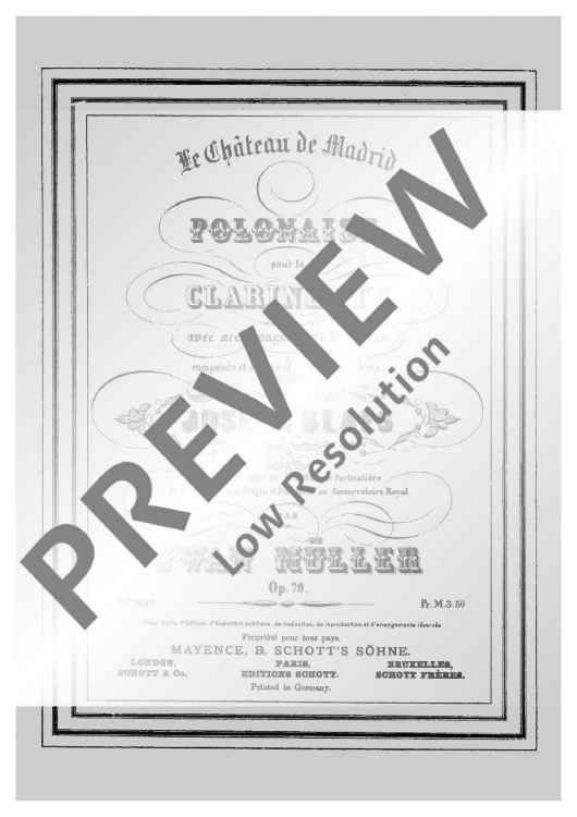 Le château de Madrid