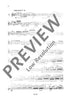 The Flutist's Progress