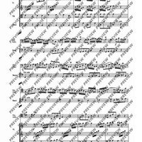 Concerto A minor - Score