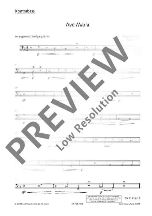 Ave Maria - Double Bass