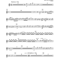 Warrior Legacy - Flute 2