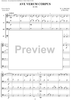 Trios and Quartets for Double Basses, Volume II