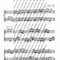 The Flourishing Baroque Period - Performing Score