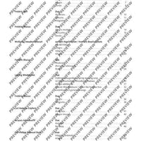 Duets for fun: Clarinets - Performing Score