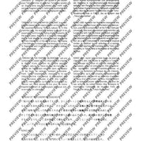 Dream of the Cherry Blossoms