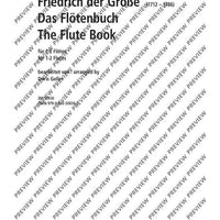 The Flute Book