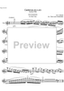 Cadenzas Concertos KV313, 314 and 299