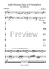 Aladdin's Dream and Dance of the Morning Mists - Euphonium