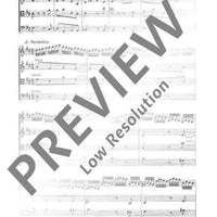 Divertimento D major - Score