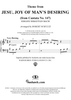 Jesu, Joy of Man’s Desiring (from Cantata No. 147) (Theme)