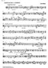 Quartetto No. 3 Romantico - Viola