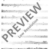 Concerto G Major - Viola