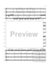 Flight of the BumbleBee - Score