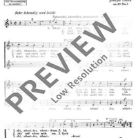 Liederreigen nach Volksweisen - Choral Score