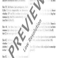 Concerto G Minor - Full Score