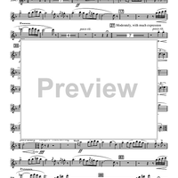 Lawrence of Arabia - Flute 2