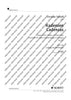 Cadenzas in D major