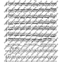 100 Technical Paraphrases on Kreutzer-Etudes