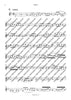 Sinfonia XII G minor - Set of Parts
