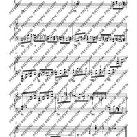 12 Etudes for the Left Hand
