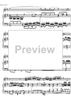 Concerto No. 1 G Major KV313 - Score