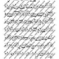 Introduction and Scherzino