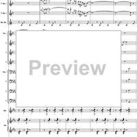 Belly Roll (The Boy in the Tree) - Conductor's Score