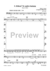 Seven Opera Trios - Cello