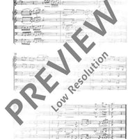 Divertimento giocoso - Score