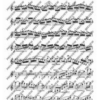 Concertino No. 1 A Minor