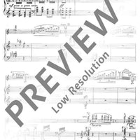 Caprice fantastique "Wichtelmännchen"