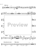 Divertimento - Flute/Piccolo